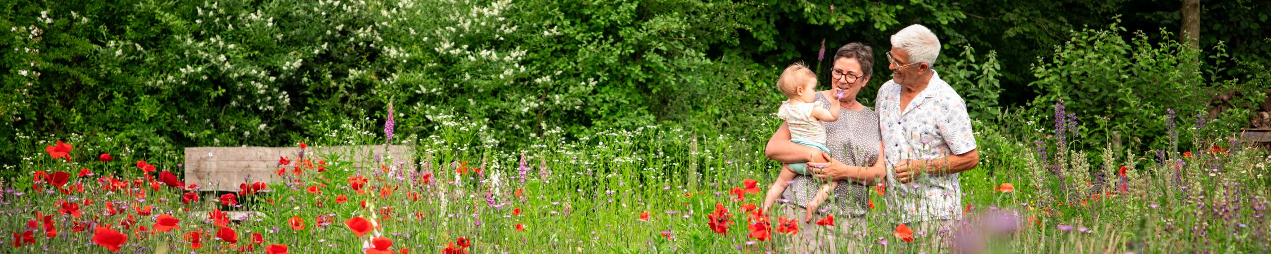 Oma, opa en kleindochter tussen de klaprozen in de natuurtuin